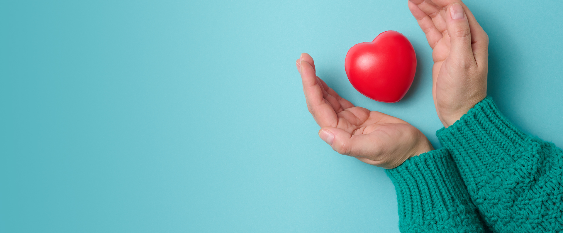 이미지 텍스트 내용삽입